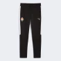 Спортивнi штани Puma FCSD EVOSTRIPE Pants, фото 7 - інтернет магазин MEGASPORT