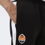 Спортивнi штани Puma FCSD EVOSTRIPE Pants, фото 5 - інтернет магазин MEGASPORT