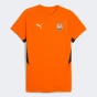Футболка Puma FCSD EVOSTRIPE Tee, фото 7 - інтернет магазин MEGASPORT