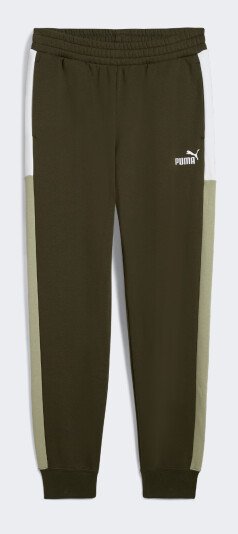 Спортивнi штани Puma ESS BLOCK Sweatpants FL cl - 175161, фото 1 - інтернет-магазин MEGASPORT