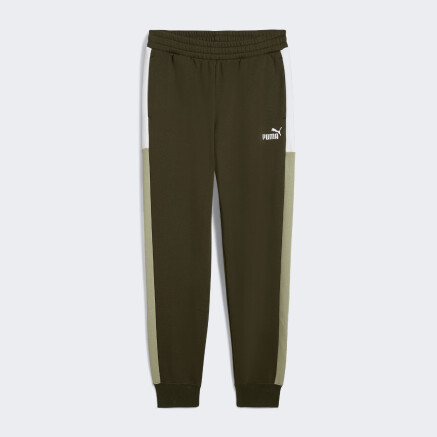 Спортивнi штани Puma ESS BLOCK Sweatpants FL cl - 175161, фото 1 - інтернет-магазин MEGASPORT