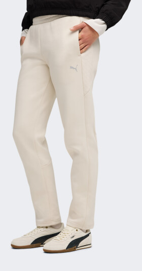 Спортивнi штани Puma EVOSTRIPE Sweatpants DK op - 175168, фото 1 - інтернет-магазин MEGASPORT