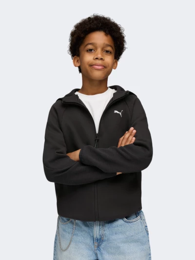 Кофта Puma EVOSTRIPE Full-Zip Hoodie DK B - 175180, фото 1 - інтернет-магазин MEGASPORT