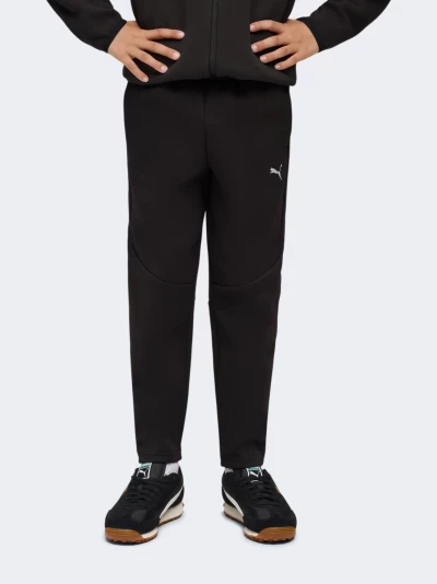 Спортивнi штани Puma EVOSTRIPE Pants DK B - 175181, фото 1 - інтернет-магазин MEGASPORT