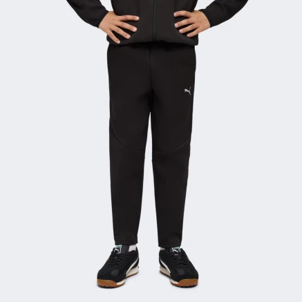 Спортивнi штани Puma EVOSTRIPE Pants DK B - 175181, фото 1 - інтернет-магазин MEGASPORT
