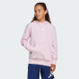 Кофта Adidas J SL FL HD 225, фото 1 - інтернет магазин MEGASPORT