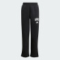 Спортивнi штани Adidas J CLGT FL PNT, фото 7 - інтернет магазин MEGASPORT