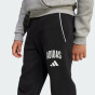 Спортивнi штани Adidas J CLGT FL PNT, фото 6 - інтернет магазин MEGASPORT