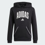 Кофта Adidas J CLGT OH FL HD, фото 7 - інтернет магазин MEGASPORT