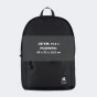 Рюкзак Champion backpack, фото 5 - інтернет магазин MEGASPORT