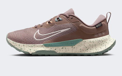 Кросівки Nike WMNS JUNIPER TRAIL 2 GTX V2 - 175373, фото 1 - інтернет-магазин MEGASPORT