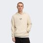 Кофта Puma PL Graphic Hoodie, фото 1 - інтернет магазин MEGASPORT