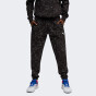 Спортивнi штани Puma Hoopaverse Sweat pants, фото 1 - інтернет магазин MEGASPORT