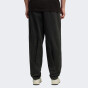 Спортивнi штани Puma PL Lifestyle Pants, фото 2 - інтернет магазин MEGASPORT