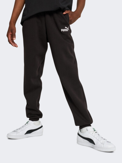 Спортивнi штани Puma ESS No. 1 Logo Sweatpants FL B - 175592, фото 1 - інтернет-магазин MEGASPORT