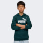 Кофта Puma ESS No. 1 Logo Hoodie FL B, фото 1 - інтернет магазин MEGASPORT