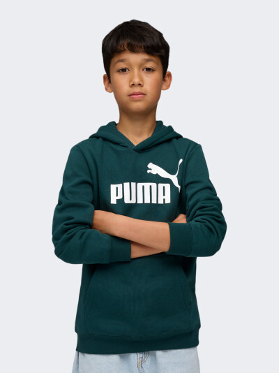 Кофта Puma ESS No. 1 Logo Hoodie FL B - 175591, фото 1 - інтернет-магазин MEGASPORT