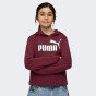Кофта Puma ESS No. 1 Logo Hoodie FL G, фото 1 - інтернет магазин MEGASPORT