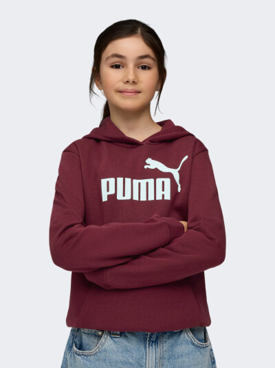 Кофта Puma ESS No. 1 Logo Hoodie FL G - 175588, фото 1 - інтернет-магазин MEGASPORT