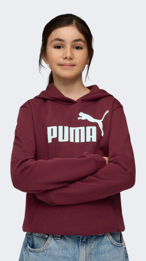 Кофта дівчаткам Puma ESS No. 1 Logo Hoodie FL G - 175588, фото 1 - інтернет-магазин MEGASPORT