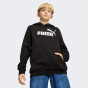 Кофта Puma ESS No. 1 Logo Hoodie FL B, фото 1 - інтернет магазин MEGASPORT