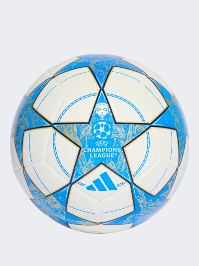 М'яч Adidas UCL TRN - 174755, фото 1 - інтернет-магазин MEGASPORT