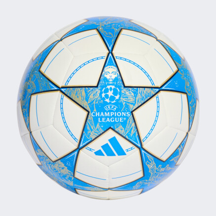 М'яч Adidas UCL TRN - 174755, фото 1 - інтернет-магазин MEGASPORT
