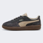 Кеди Puma Palermo Pop, фото 1 - інтернет магазин MEGASPORT