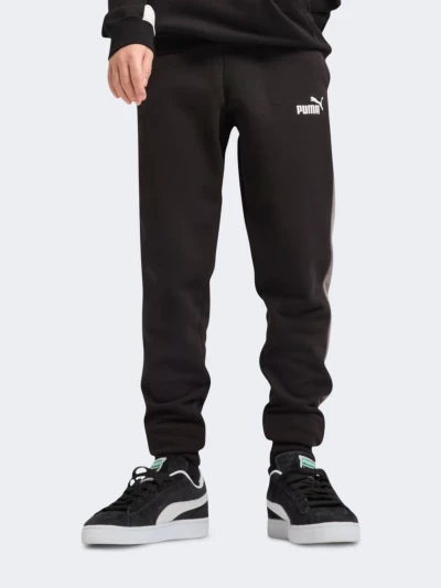 Спортивнi штани Puma ESS BLOCK Sweatpants TR B - 170576, фото 1 - інтернет-магазин MEGASPORT