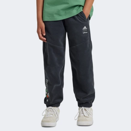 Спортивнi штани Adidas LK DY MM WI PNT - 168514, фото 1 - інтернет-магазин MEGASPORT