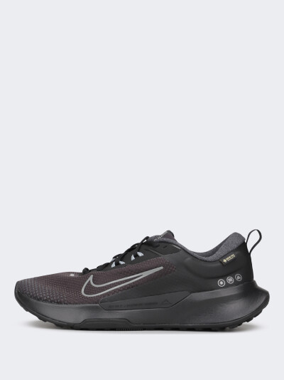 Кросівки Nike JUNIPER TRAIL 2 GTX V2 - 175209, фото 1 - інтернет-магазин MEGASPORT