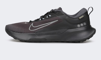 Кросівки Nike JUNIPER TRAIL 2 GTX V2 - 175209, фото 1 - інтернет-магазин MEGASPORT