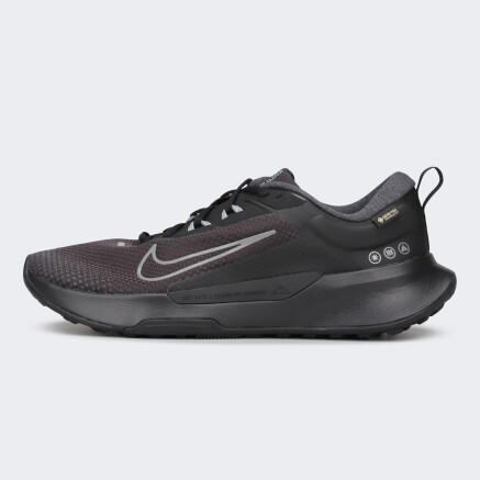 Кросівки Nike JUNIPER TRAIL 2 GTX V2 - 175209, фото 1 - інтернет-магазин MEGASPORT