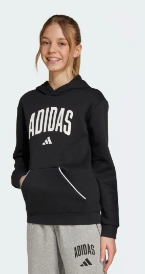 Кофта дитяча Adidas J CLGT OH FL HD - 175252, фото 1 - інтернет-магазин MEGASPORT