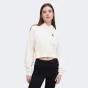 Кофта Converse STAR CHEVRON HOODIE, фото 1 - інтернет магазин MEGASPORT