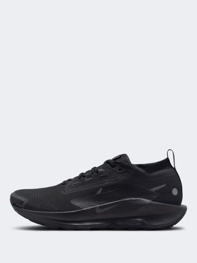 Кросівки Nike Pegasus Trail 5 GORE-TEX - 169280, фото 1 - інтернет-магазин MEGASPORT