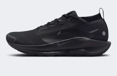 Кросівки Nike Pegasus Trail 5 GORE-TEX - 169280, фото 1 - інтернет-магазин MEGASPORT