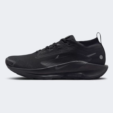 Кросівки Nike Pegasus Trail 5 GORE-TEX - 169280, фото 1 - інтернет-магазин MEGASPORT