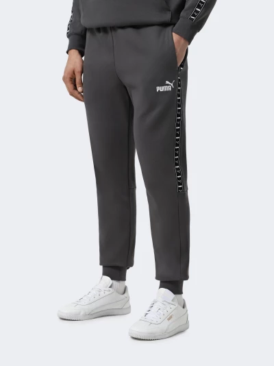 Спортивнi штани Puma ESS TAPE Sweatpants FL cl - 175071, фото 1 - інтернет-магазин MEGASPORT