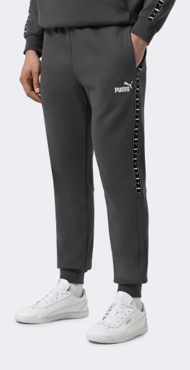 Спортивнi штани Puma ESS TAPE Sweatpants FL cl - 175071, фото 1 - інтернет-магазин MEGASPORT