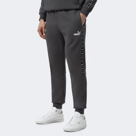 Спортивнi штани Puma ESS TAPE Sweatpants FL cl - 175071, фото 1 - інтернет-магазин MEGASPORT
