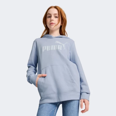 ESS No. 1 Logo Hoodie TR G