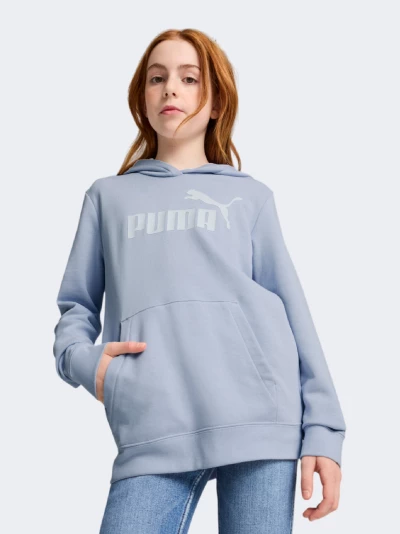 Кофта Puma ESS No. 1 Logo Hoodie TR G - 171738, фото 1 - інтернет-магазин MEGASPORT
