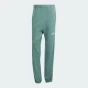 Спортивнi штани Adidas M A SZN W FT PT, фото 6 - інтернет магазин MEGASPORT