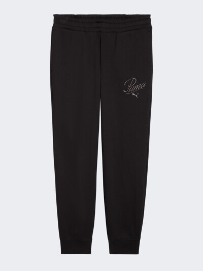 Спортивнi штани Puma ESS SCRIPT Sweatpants FL cl - 175749, фото 1 - інтернет-магазин MEGASPORT