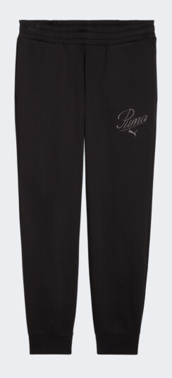 Спортивнi штани Puma ESS SCRIPT Sweatpants FL cl - 175749, фото 1 - інтернет-магазин MEGASPORT