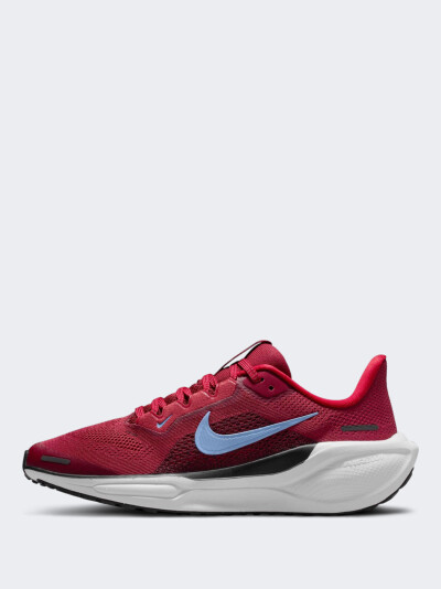 Кросівки Nike AIR ZOOM PEGASUS 41 GS - 175760, фото 1 - інтернет-магазин MEGASPORT