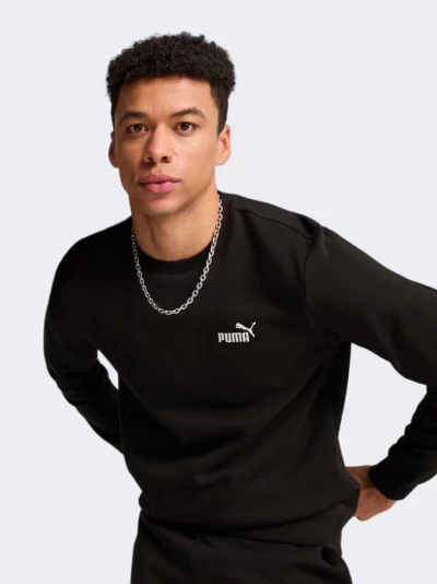 Кофта Puma ESS Small No. 1 Logo Crew FL - 175743, фото 1 - інтернет-магазин MEGASPORT