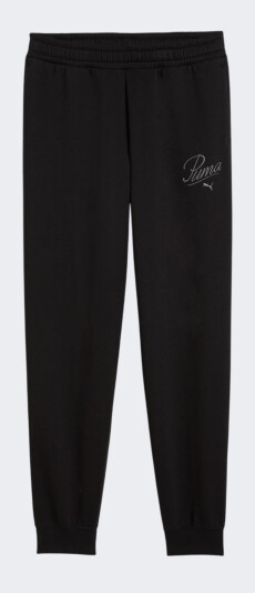 Спортивнi штани дівчаткам Puma ESS SCRIPT Sweatpants FL G - 175901, фото 1 - інтернет-магазин MEGASPORT
