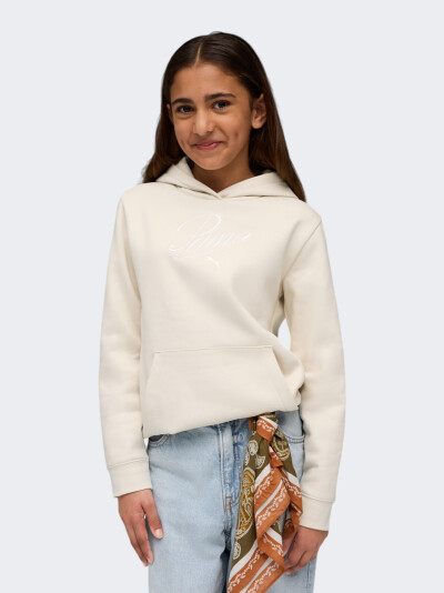 Кофта Puma ESS SCRIPT Hoodie FL G - 175904, фото 1 - інтернет-магазин MEGASPORT